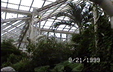 CLICK HERE FOR A POP UP