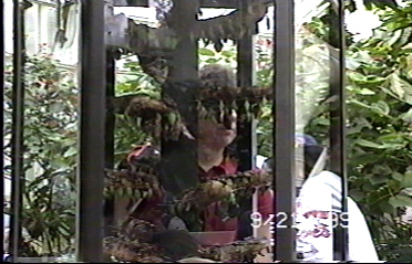 CLICK HERE FOR A POP UP