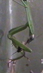 Wonder what's for dessert?